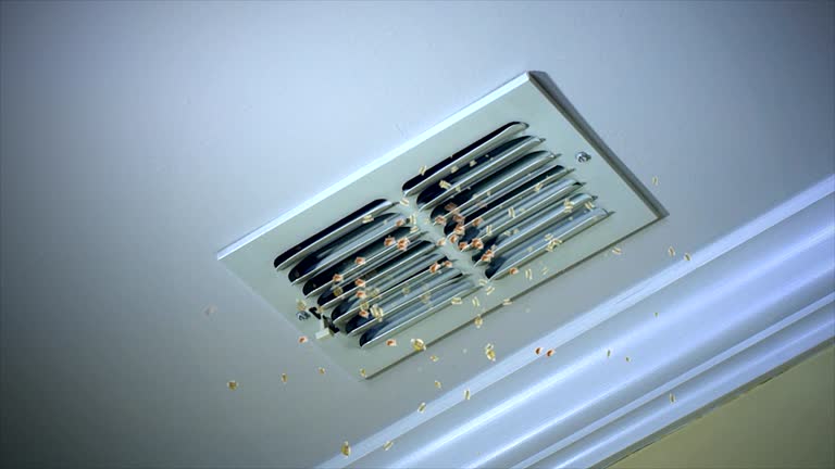 Best HVAC Duct Inspection Services  in Chepachet, RI